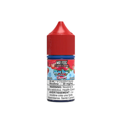 Mr Fog Blue Razz Steezy 20mg E-liquid 30ml | Excusez Moi